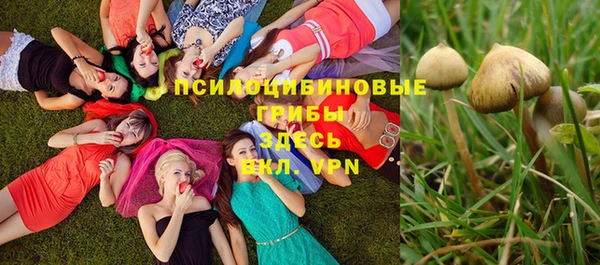 мдпв Балабаново