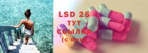 PSILOCYBIN Баксан
