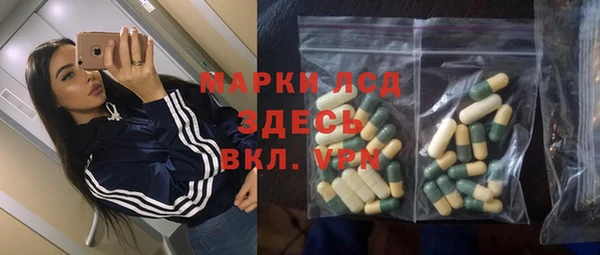 PSILOCYBIN Баксан