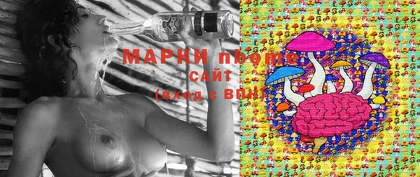 PSILOCYBIN Баксан