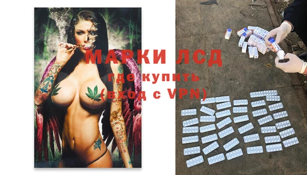PSILOCYBIN Баксан