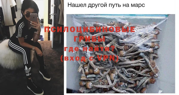 PSILOCYBIN Баксан