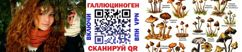 KRAKEN ссылки  Бирск  Псилоцибиновые грибы ЛСД 