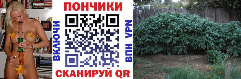 Бошки Шишки сатива  наркошоп  Бирск 